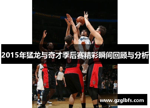 2015年猛龙与奇才季后赛精彩瞬间回顾与分析