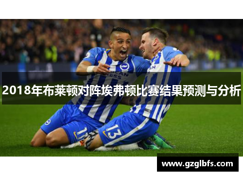 2018年布莱顿对阵埃弗顿比赛结果预测与分析