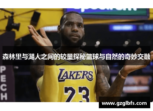 森林里与湖人之间的较量探秘篮球与自然的奇妙交融